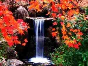 jliqbblsgy.jpg