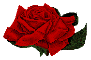 rozsa.gif
