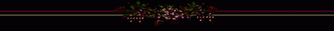 sorelv.gif